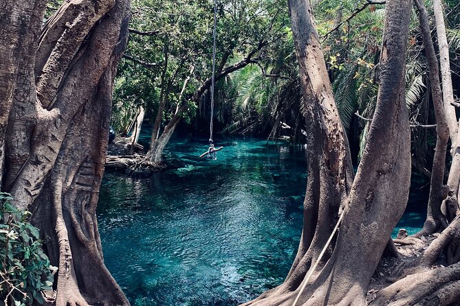 Private Day Trip to Kikuletwa Hot Springs in Kilimanjaro - Local lunch in a private setting