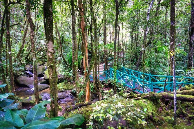 Private Desa Dairy Farm, Kinabalu National Park, Hot Spring & Canopy Walk Tour - Who will enjoy this Sabah day tour most