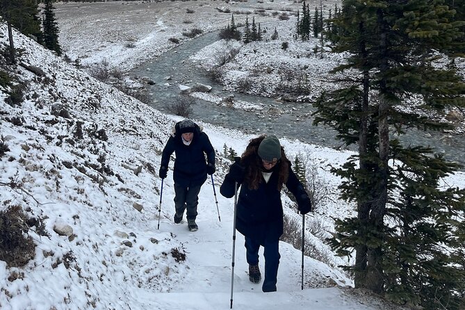 Private Guided Hike: Adventure & Wellness in Banff - An alpine picnic instead of a rushed lunch stop