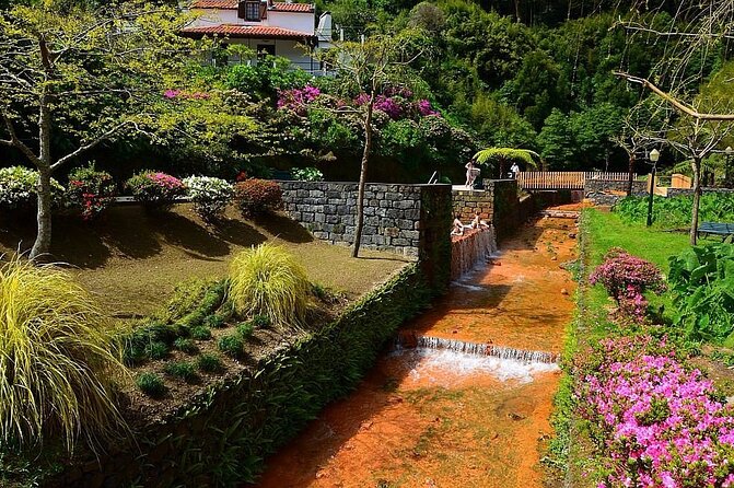 Private Guided Tour to Furnas and thermal baths. - Gorreana tea adds a distinctly Azorean finish