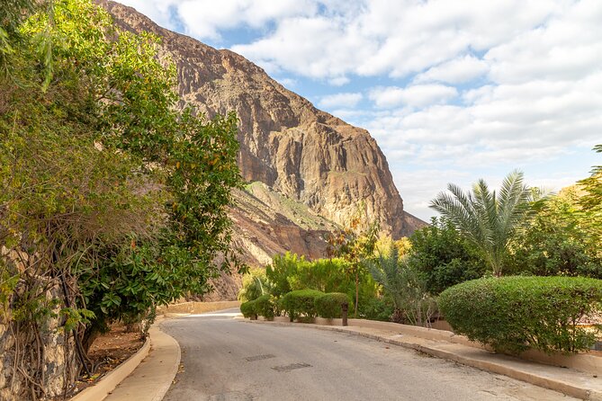 Private Half-Day Ma'in Waterfalls and Hot Springs Tour from Amman - The drive from Amman to the Dead Sea route