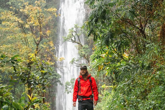 Private Materuni Waterfalls, Coffee Tour and Kikuletwa Hot Spring - A full day from Arusha to two very different waters