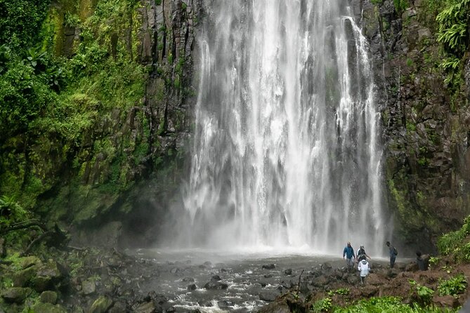 Private Materuni Waterfalls, Coffee Tour and Kikuletwa Hot Spring - Lunch before the road to Kikuletwa