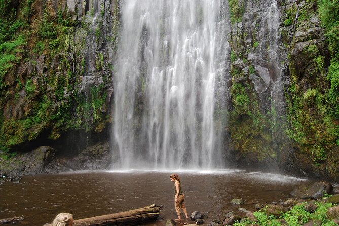 Private Materuni Waterfalls, Coffee Tour and Kikuletwa Hot Spring - Who will enjoy this day most