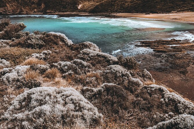 Private Mornington Peninsula Hike and Hot Springs Tour - From Melbourne to Arthur’s Seat at 7:30 am
