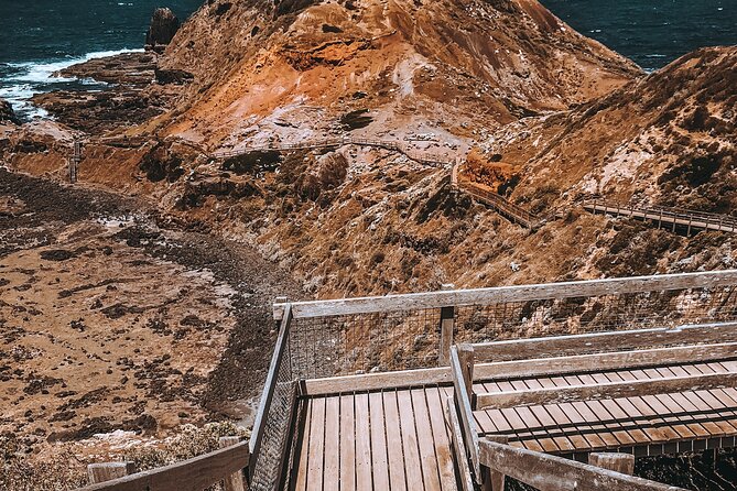 Private Mornington Peninsula Hike and Hot Springs Tour - What the private price means for a group of eight