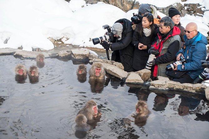 Private Nagano 1-Day Tour:Snow Monkeys,Zenko-ji,Obuse,Sake,Onsen - The Hokusai Museum adds an art stop
