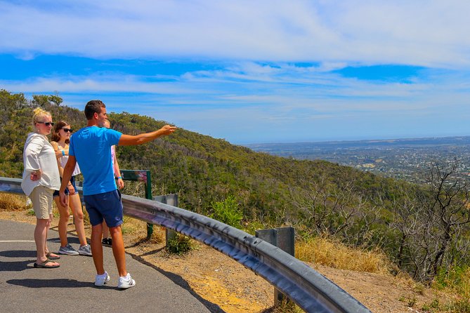 [PRIVATE TOUR] Mornington Peninsula Hot Springs | Winery & Sightseeing Tour - What private transport adds to the day