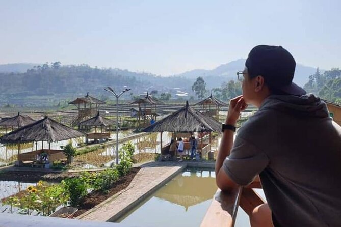 Private Tour to Bandung Volcano Hot Springs and Mud bathing - Patenggang Lake and the slower final stop