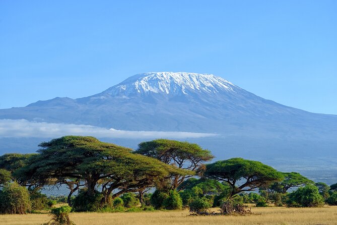 Private Tour to Marangu Waterfalls, Chagga Caves, Coffee tour & Hot Springs - Key points to know before you book