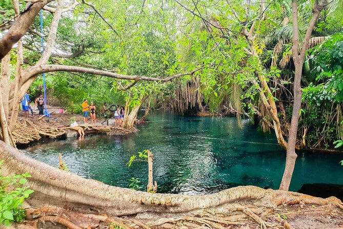 Private Tour to Materuni Waterfalls, coffee tour, Kikuletwa Hot Springs & Maasai - Why this Moshi day trip works so well