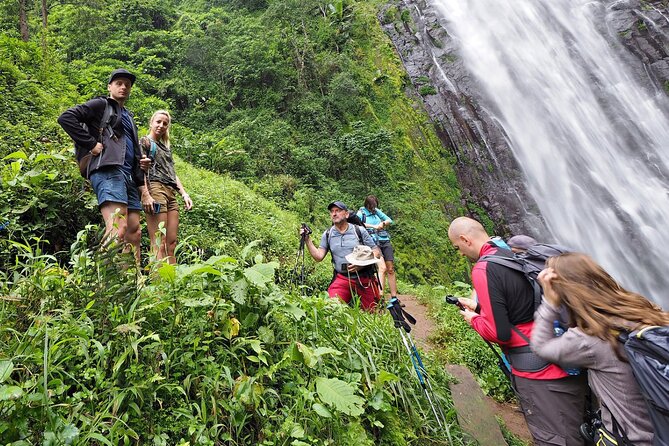 Private Tour to Materuni Waterfalls, coffee tour, Kikuletwa Hot Springs & Maasai - Kikuletwa Hot Springs, with cool water and rope jumps