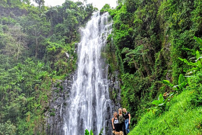 Private Tour to Materuni Waterfalls, coffee tour, Kikuletwa Hot Springs & Maasai - Lunch, wine, and what is included