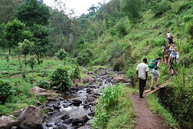 Private Tour to Materuni Waterfalls, coffee tour, Kikuletwa Hot Springs & Maasai - Who should book this private tour