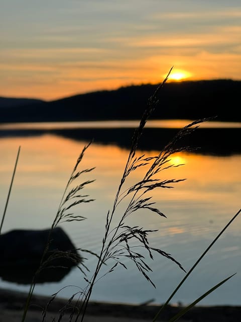 Private Traditional Sauna, Ice Dip and Dinner in the Wild - Booking details worth checking