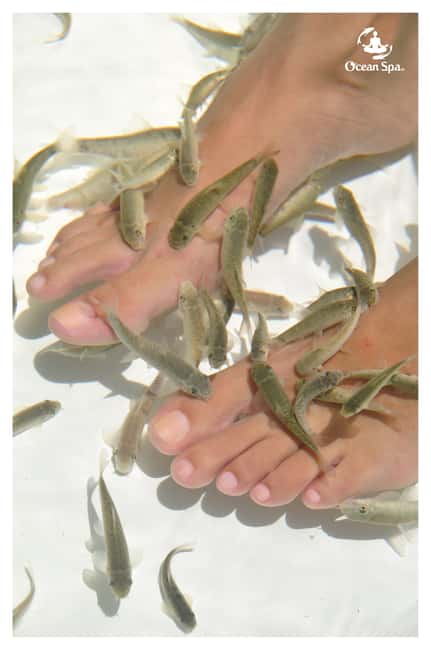 Punta Cana Floating Ocean Spa Experience with Massage & Yoga - Lunch at the sea restaurant