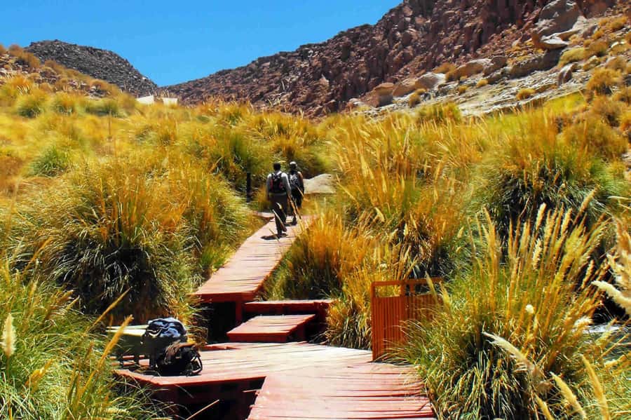 Puritama Hot Springs - Tour : San Pedro de Atacama - Chile - A useful break after busy desert outings