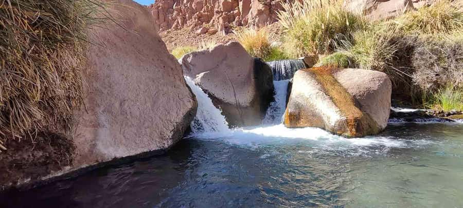 Puritama Hot Springs - Tour : San Pedro de Atacama - Chile - Warm water, rock formations, and desert plants