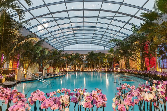 Relax and Fun at Thermal Spa Bucharest (Admission Ticket) - Quick take: what matters most
