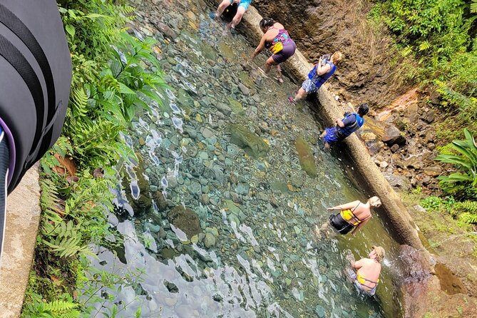 Relax in Hot Springs and swim in Titou Gorge and Trafalgar Falls - Swimming through Titou Gorge