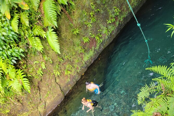 Relax in Hot Springs and swim in Titou Gorge and Trafalgar Falls - The driver-guide can shape the day