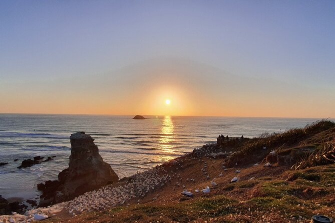 Romantic Auckland Sunset tour with Winery & Thermal pool - Key points to know