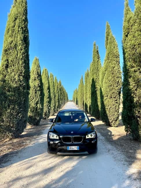 Rome to Saturnia ; Thermal Springs Day Trip with Lunch - The Tuscan trees photo stop