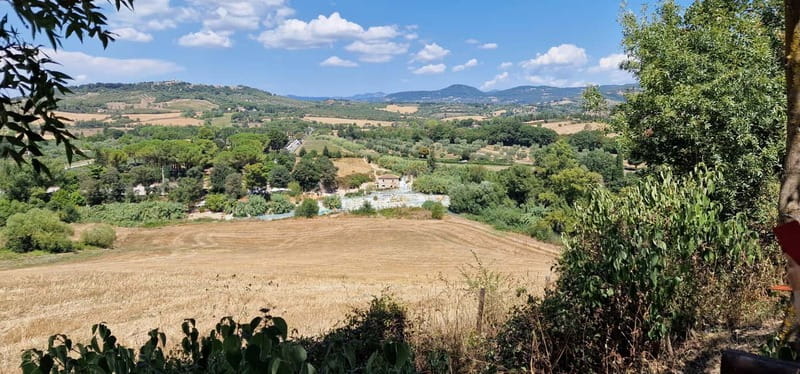 Rome to Saturnia ; Thermal Springs Day Trip with Lunch - Who will enjoy this day trip most