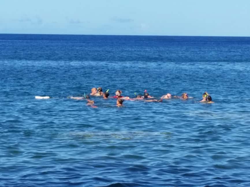 Roseau: Titou Gorge, Hot Spring, Falls & Champagne Reef Tour - A roadside taste of Dominica