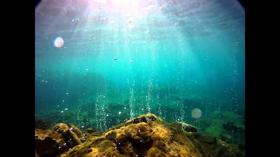 Roseau: Titou Gorge, Hot Spring, Falls & Champagne Reef Tour - Titou Gorge, the day’s biggest thrill