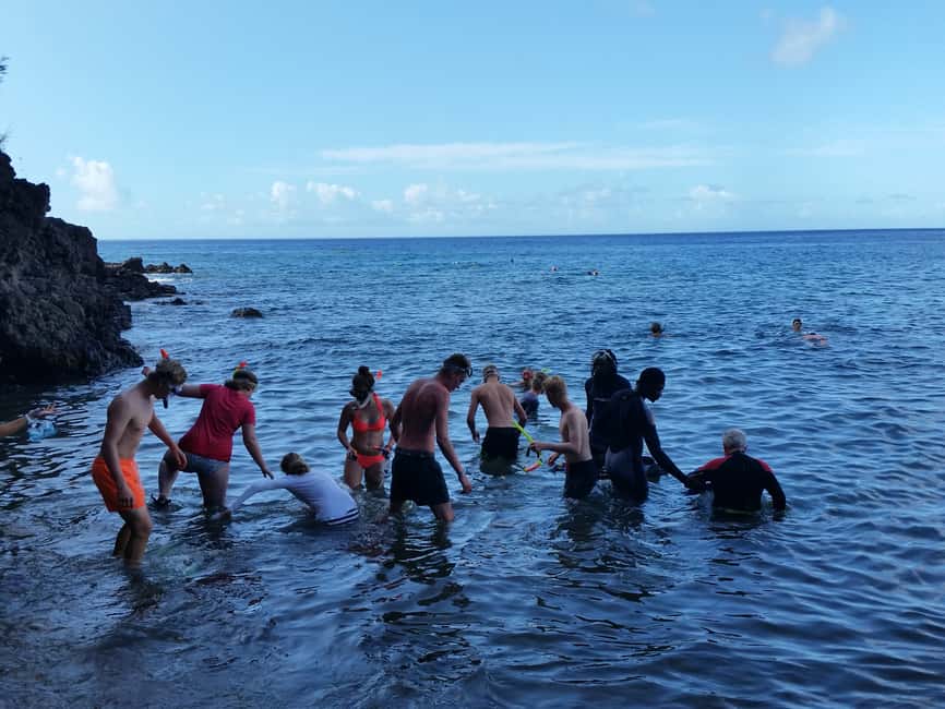 Roseau: Titou Gorge, Hot Spring, Falls & Champagne Reef Tour - Tia Hot Spa and the volcanic afterglow