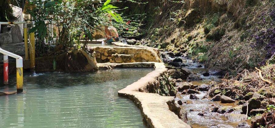 Roseau: Titou Gorge, Hot Spring, Falls & Champagne Reef Tour - Botanical Gardens and Morne Bruce for a final look at Roseau