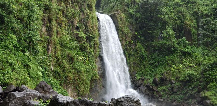 Roseau: Titou Gorge, Hot Spring, Falls & Champagne Reef Tour - Champagne Reef and the bubbles beneath your fins