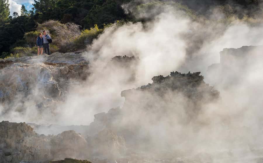 Rotorua: Hell's Gate Outdoor Mud Spa & Guided Walk - Should You Book This Rotorua Mud Spa?