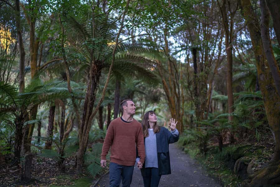 Rotorua: Hell's Gate Outdoor Mud Spa & Guided Walk - Walking Through a Field of Steam and Mud
