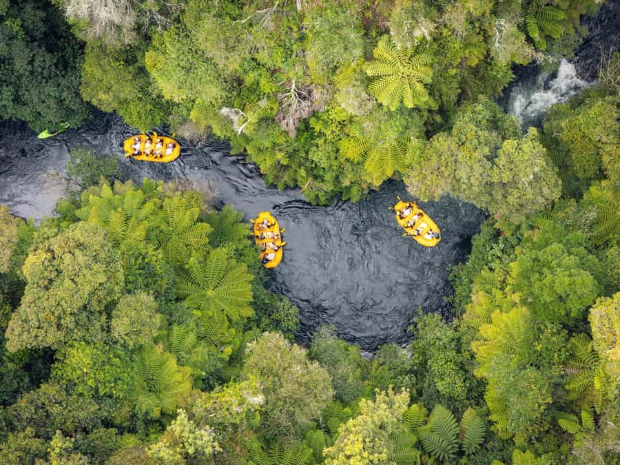 Rotorua Rafting: Kaituna River Rafting Experience-Free Sauna - Why the Kaituna River is such a good Rotorua adventure