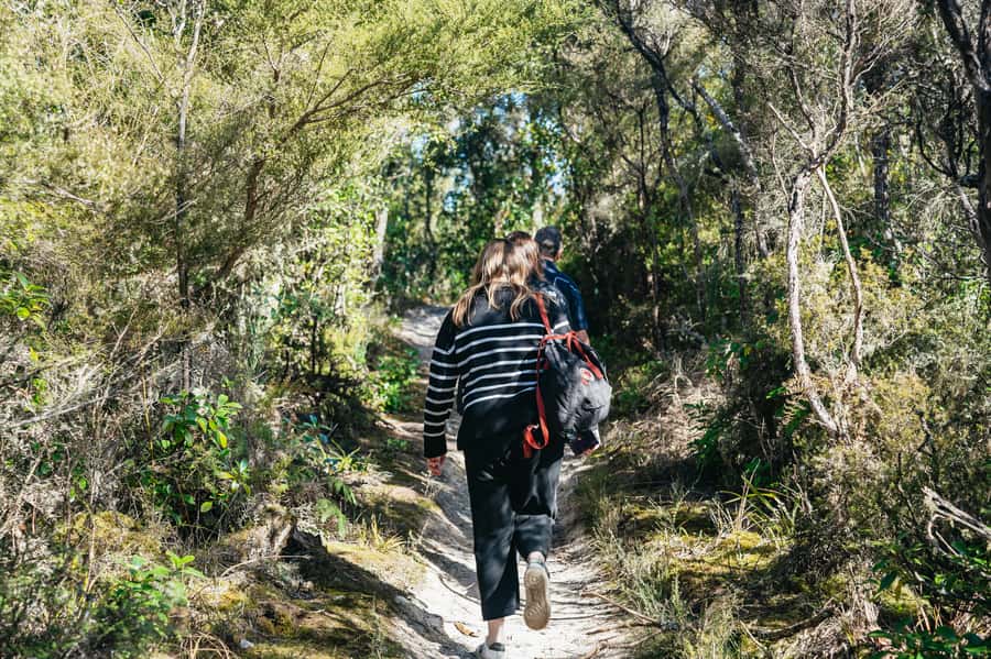 Rotorua: 'Thermal Path Tour' Geothermal half day Tour - What the $89 price includes