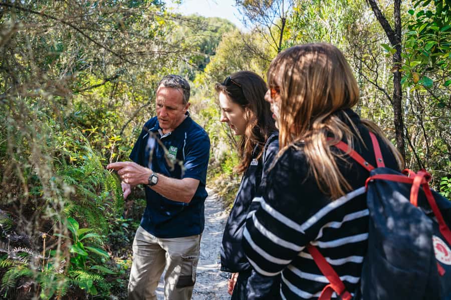 Rotorua: 'Thermal Path Tour' Geothermal half day Tour - Who will enjoy this tour most