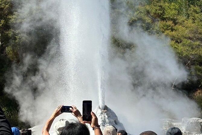 Rotorua: WaiOtapu & Redwood forest & Blues springs from Auckland - Wai-O-Tapu and the colors of geothermal Rotorua