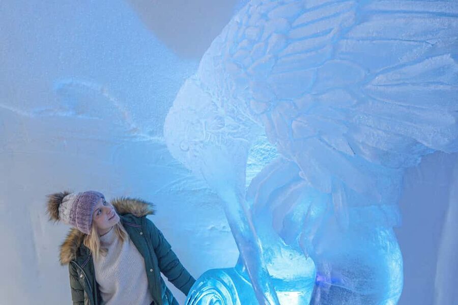 Rovaniemi: Arctic SnowHotel Tour and Snow Sauna Experience - Practical tips before you go