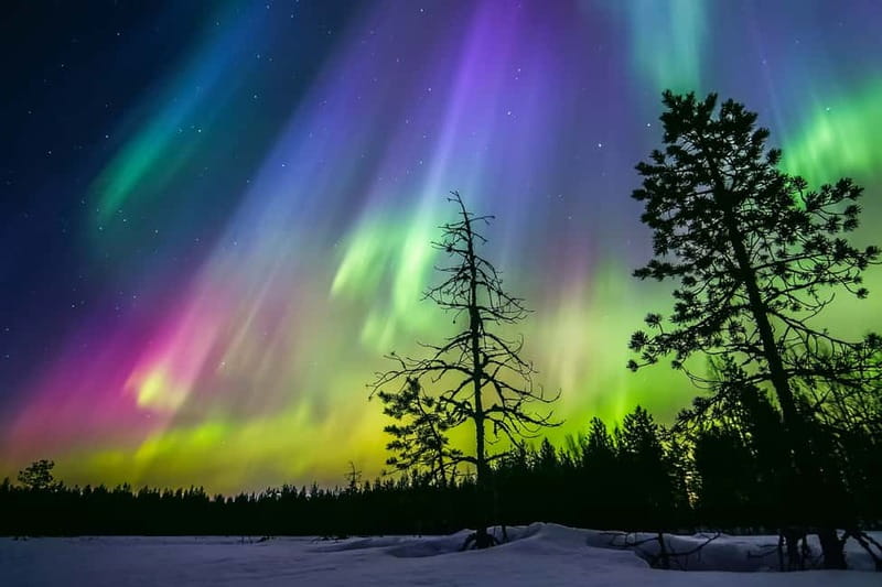 Rovaniemi: Lakeside Private Sauna with Aurora Borealis - The ride out to the forest sauna