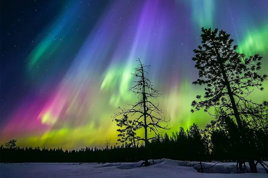 Rovaniemi: Northern Lights Trip with Arctic Sauna & Jacuzzi - What the $101 price really covers