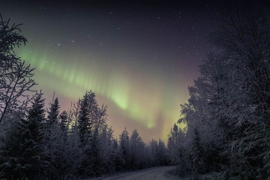 Rovaniemi: Sauna & Ice Swimming Tour with Dinner and Aurora - Who will enjoy this most