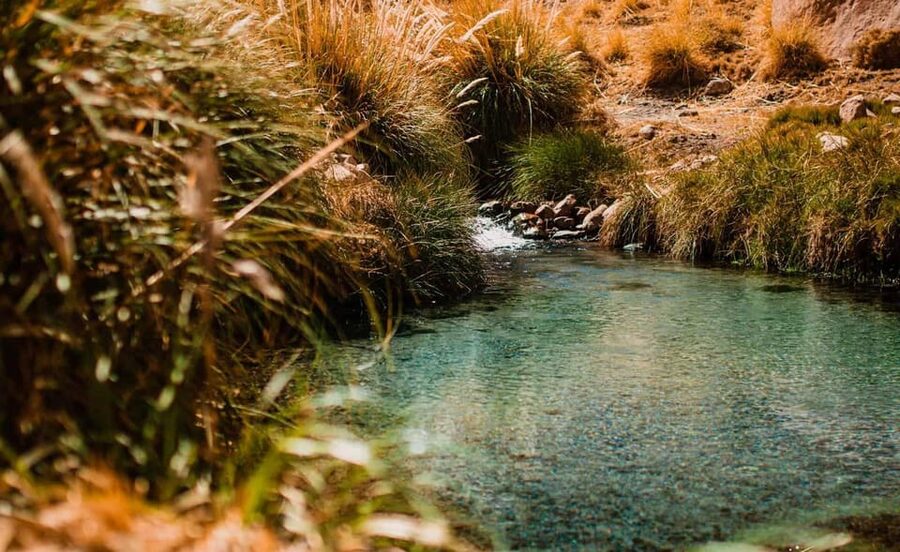 San Pedro de Atacama: Puritama Hot Springs - Timing, pickup, and practical planning