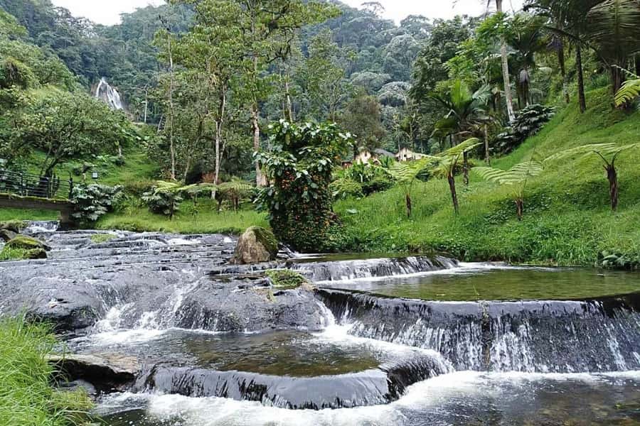 Santa Rosa de Cabal Thermal Hot Springs - Should you book Santa Rosa de Cabal Thermal Hot Springs?