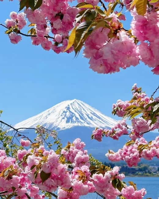 [Seasonal Limited] Mt. Fuji 5th Station &Hot Spring Day Tour - Who will enjoy this day most