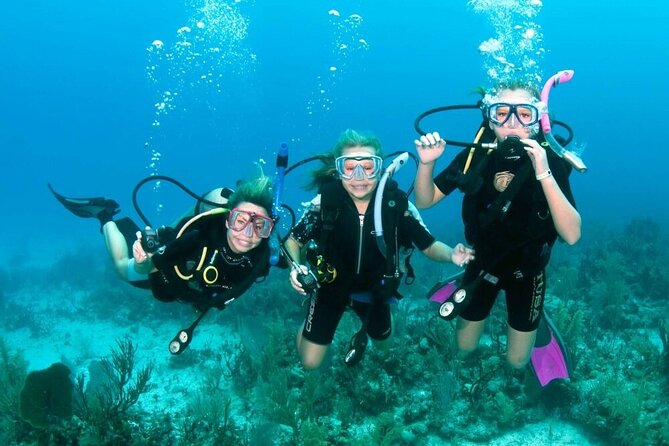 Semi Submarine Sea Trip and Parasailing & Turkish bath - Hurghada - One Hurghada outing, several different moods