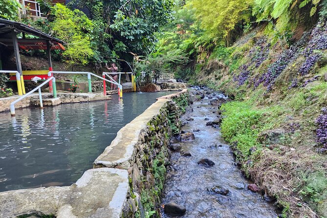 Shoreside Fun-Day with Titou Gorge, Hot Springs & Champagne Reef - Trafalgar Falls adds the classic Dominica view