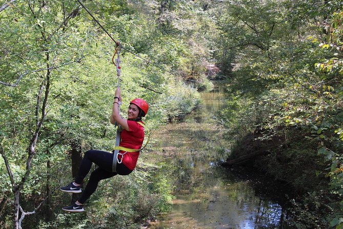 Small-Group Zipline Tour in Hot Springs - Key points at a glance