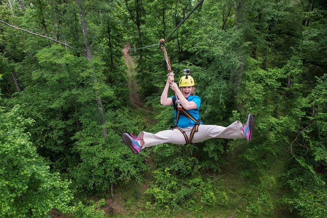 Small-Group Zipline Tour in Hot Springs - Ten lines through the Hot Springs woods